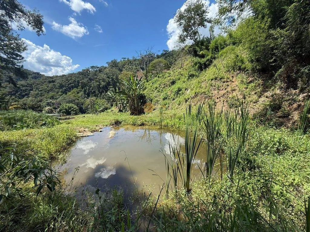 Foto do imóvel Sítio para Venda em Teresópolis / RJ em Estrada A