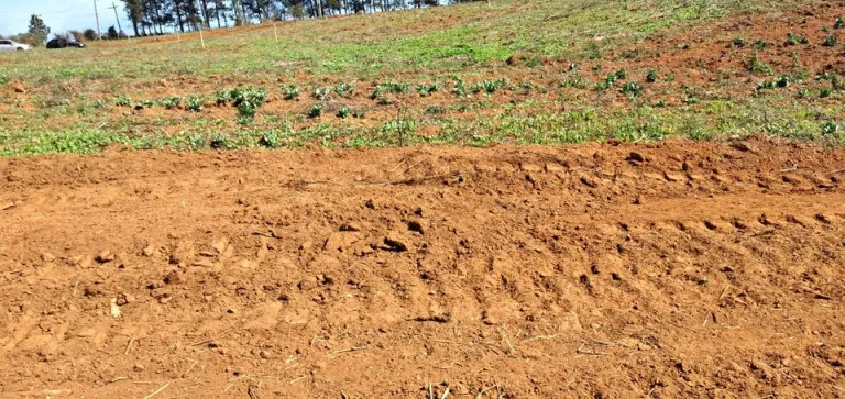 Imagem Terreno à Venda, 500 m² em verava - Ibiúna