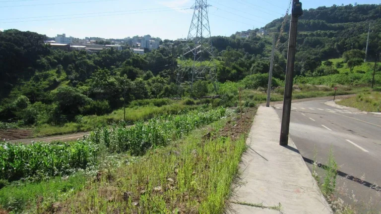 Imagem Terreno para Venda em Concórdia, Jardim
