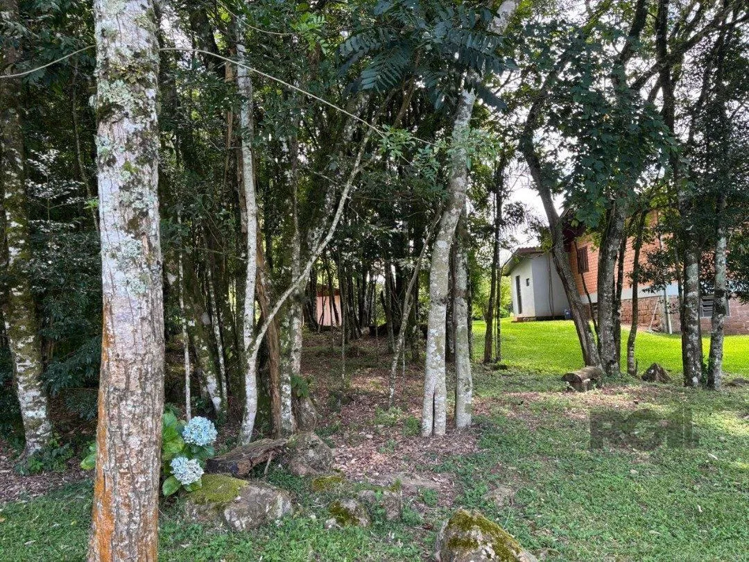 Imagem Lindo Sitio 5,4 ha a 7km do Lago Negro