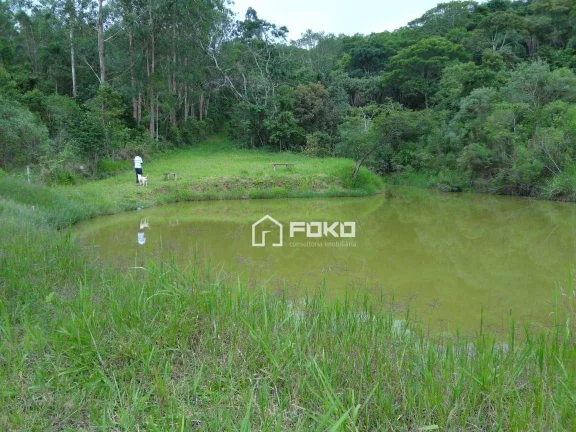 Imagem Chácara com 4 dormitórios à venda, 400,000 m² - Ferreiras - Nazaré Paulista/SP