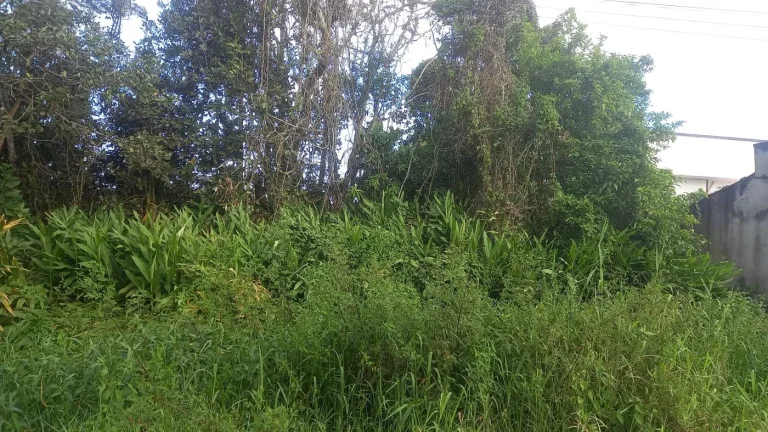 Imagem Terreno para Venda em Itanhaém, Jardim Luiza Mar Mirim