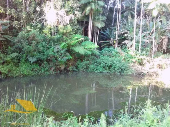 Imagem VENDO CHÁCARA COM 20 MIL MTS² EM RIBEIRÃO DO CAPITÃO (SÃO JOSÉ)