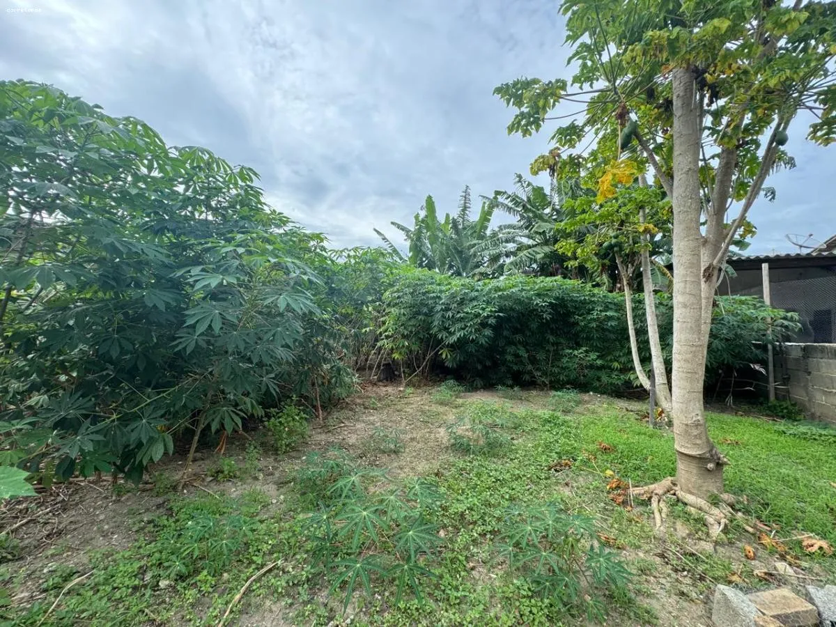 Imagem Terreno para Venda em São Sebastião, São Francisco da Praia