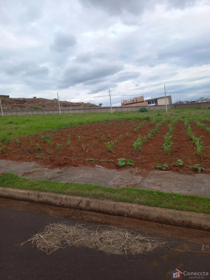 Imagem Terreno à venda, 364 m² por R$ 275.000,00 - Alto dos Caiçaras - Patos de Minas/MG