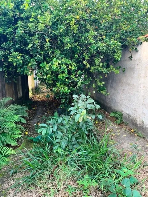 Foto do imóvel Chácara à venda 1 Quarto, 6 Vagas, 1164M², Mandú, Pindamonhangaba - SP