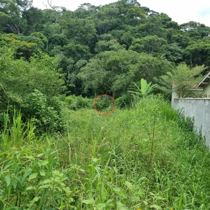 Imagem TERRENO PLANO COM ESCRITURA DEFINITIVA, COM 1.150 METROS, TODO MURADO,EM BOISSUCANGA. OTIMA LOCALIZAÇÃO