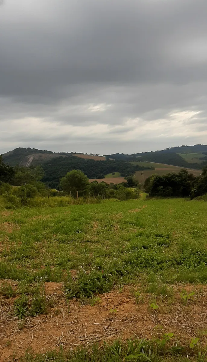 Imagem Fazenda 338,8 ha à venda em Itacolomi, Ipuiúna