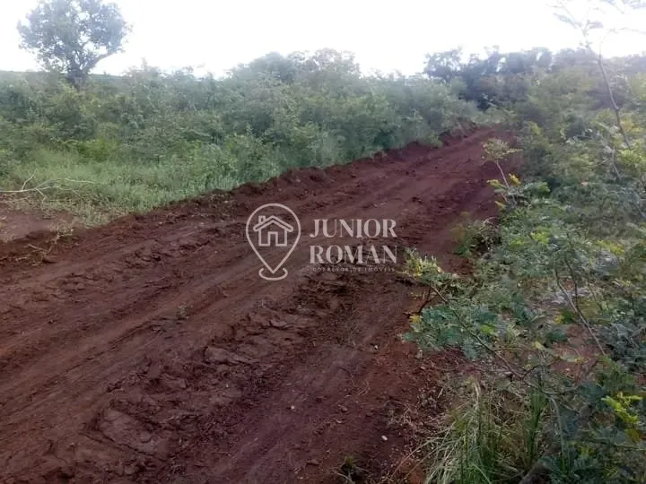 Imagem FAZENDA - 91,5 HECTARES - CRISTOPOLIS/BA