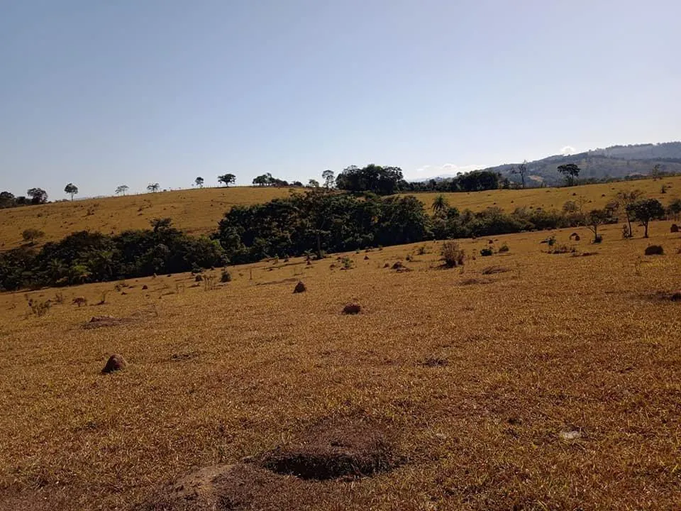 Imagem Vendo Excelente Fazenda em Bonfim/MG 90 hectares de terra