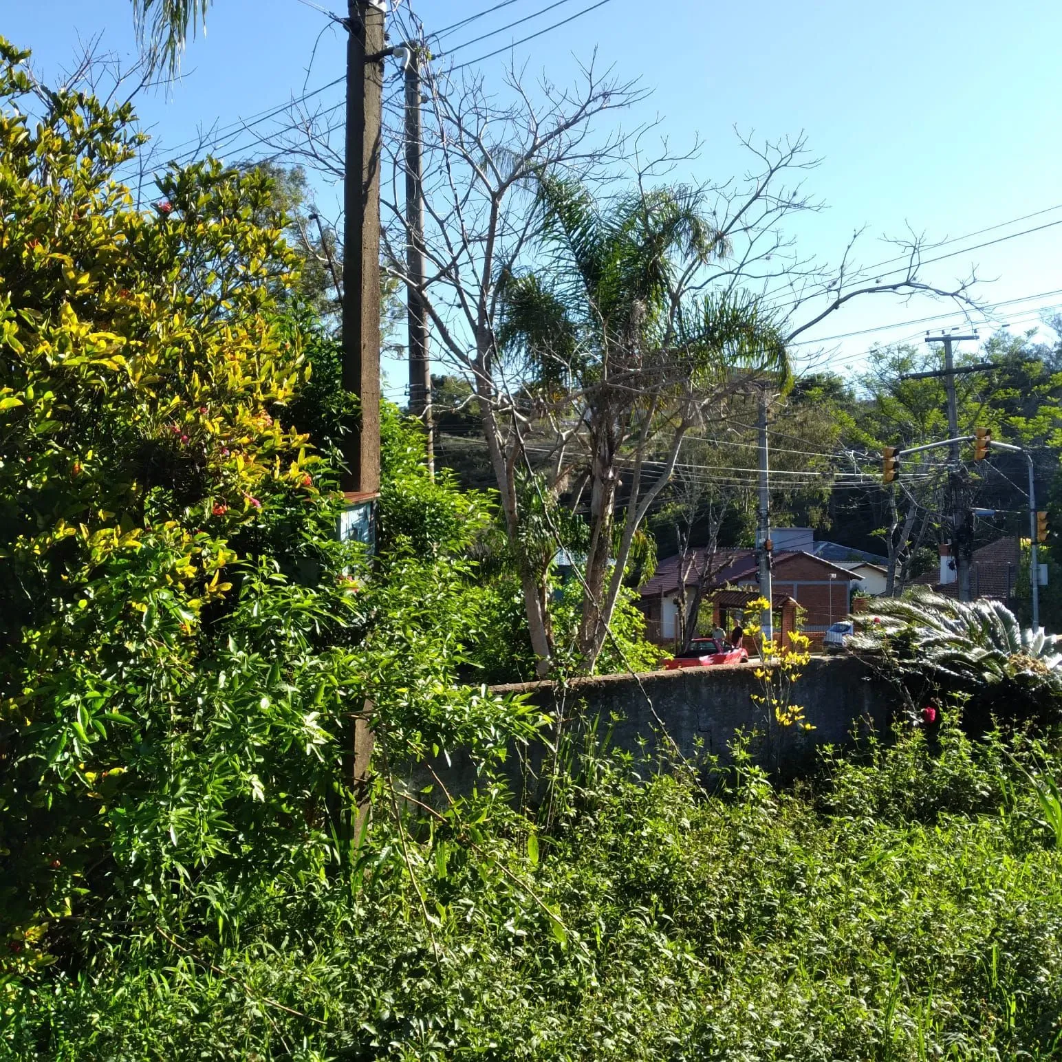Imagem EXCELENTE TERRENO EM BELÉM VELHO