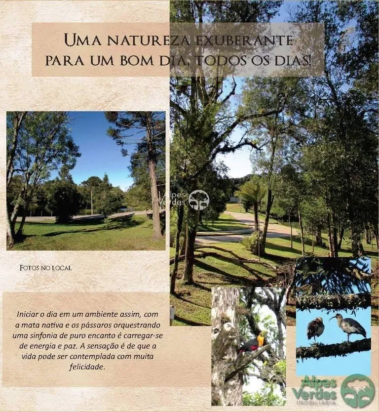 Imagem Terreno em Condomínio, 450m2, à venda em Canela, Villa Magi