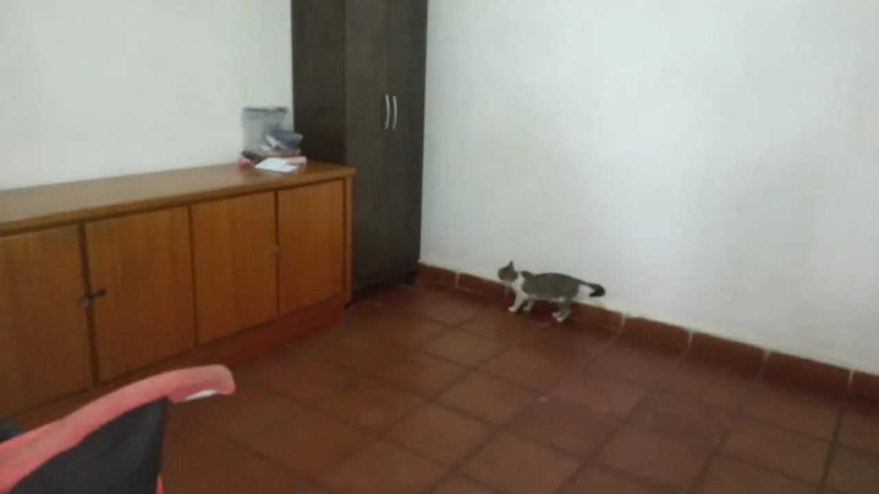 Imagem Casa à venda 3 Quartos, 4 Vagas, 640M², Cidade Nova, Pindamonhangaba - SP
