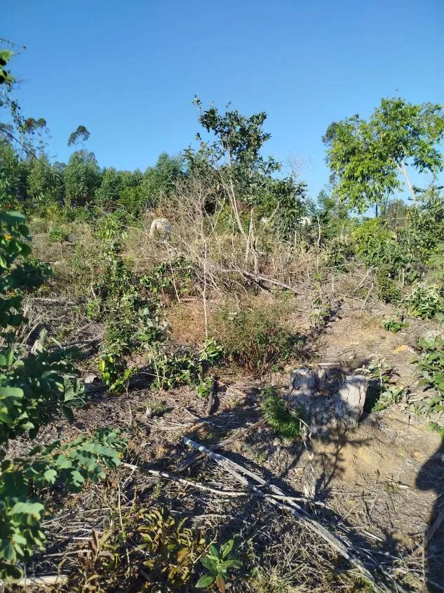 Imagem Vendo uma excelente fazenda em Oliveira / MG 100 hectares de área total;