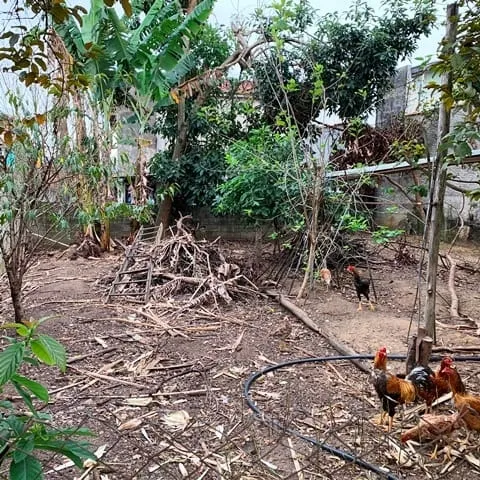 Imagem Terreno à venda 250M², Residencial Mombaça, Pindamonhangaba - SP