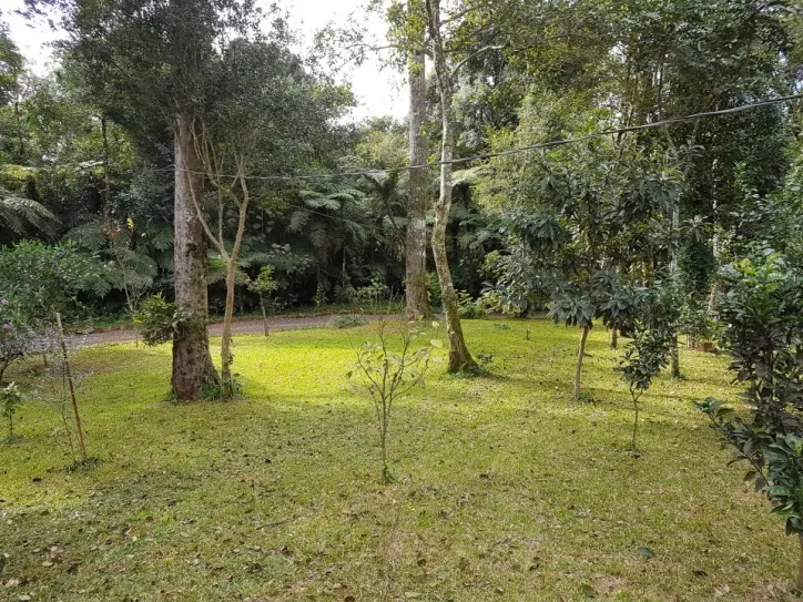 Imagem Chácara 8000m2 com Piscina e Pomar em São Salvador Cascavel