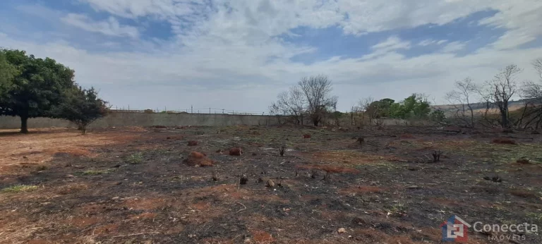 Imagem Lote de 3.000m² à Venda no Alto dos Caiçaras – Excelente Oportunidade de Investimento | Patos de Minas