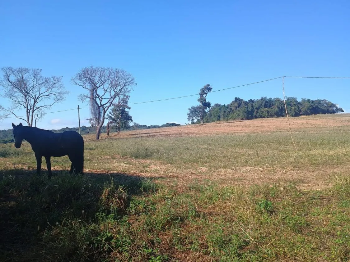 Imagem EXCELENTE TERRENO À VENDA EM OLIVEIRA MG | 16 HECTARES