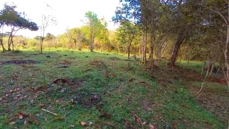 Imagem Chácara para Venda em Tijucas do Sul, Ambrósio
