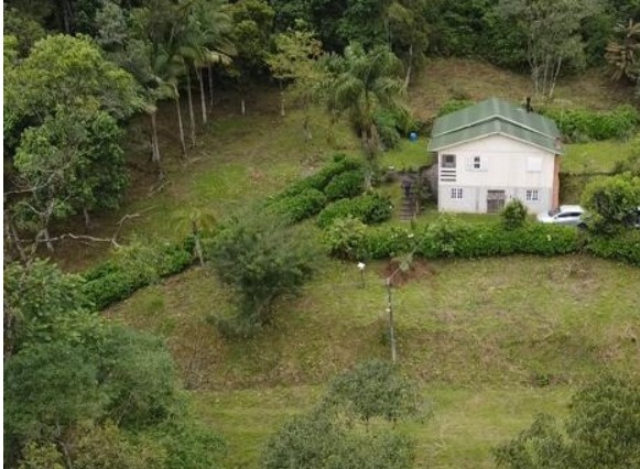 Imagem Chácara com 2 Quartos à Venda, 117 m² em Imaruí - Imaruí