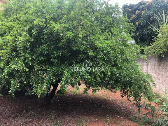 Imagem Sítio à venda em Igarapé bairro Fernão Dias
