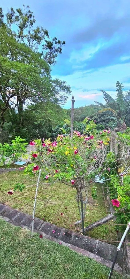 Imagem Casa para Venda - 350m², 5 dormitórios, sendo 1 suite, 6vagas - Cristal