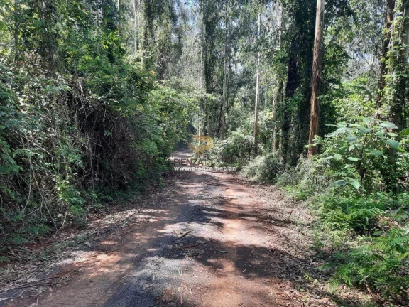 Imagem Área Agrícola para Venda em Concórdia, Interior