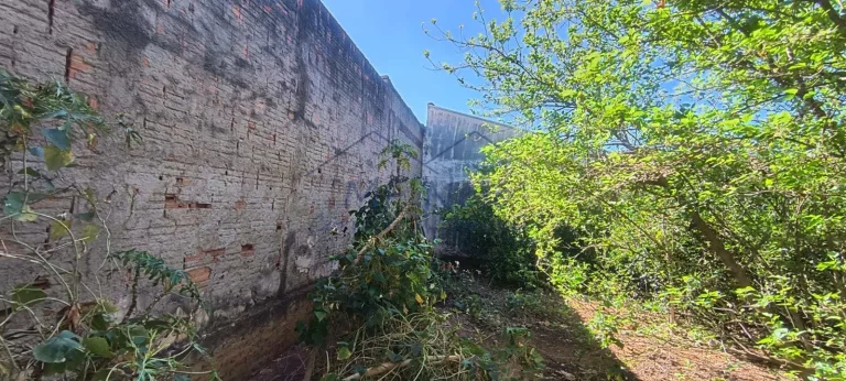 Imagem Terreno Padrão