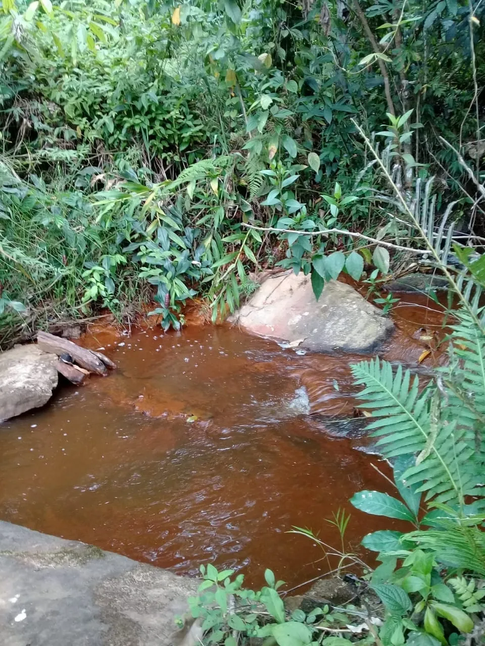 Imagem Chácara à venda 20000M², Mandú, Pindamonhangaba - SP