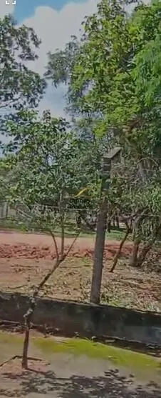 Imagem Loteamento à venda no bairro JOÁ - Lagoa Santa/MG