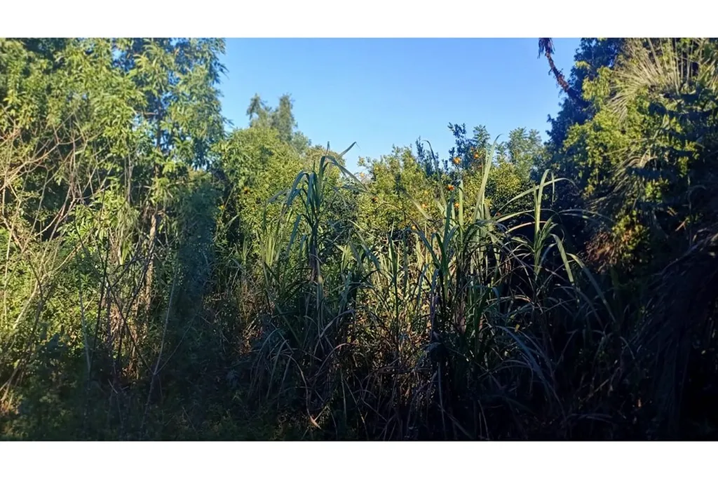 Imagem Fazenda em Aparecida