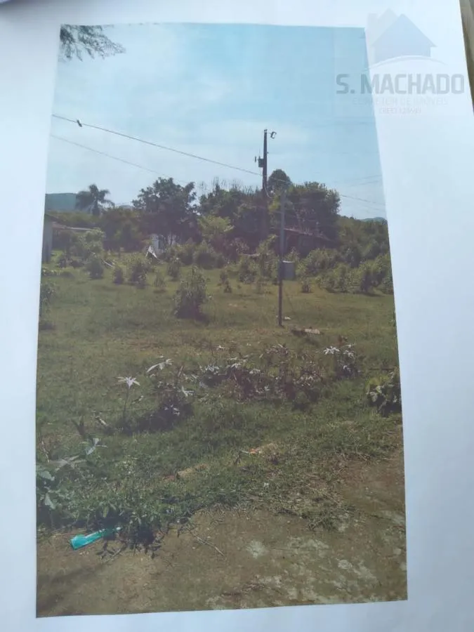 Imagem Chácara para Venda em Pouso Alegre / MG no bairro Anchieta