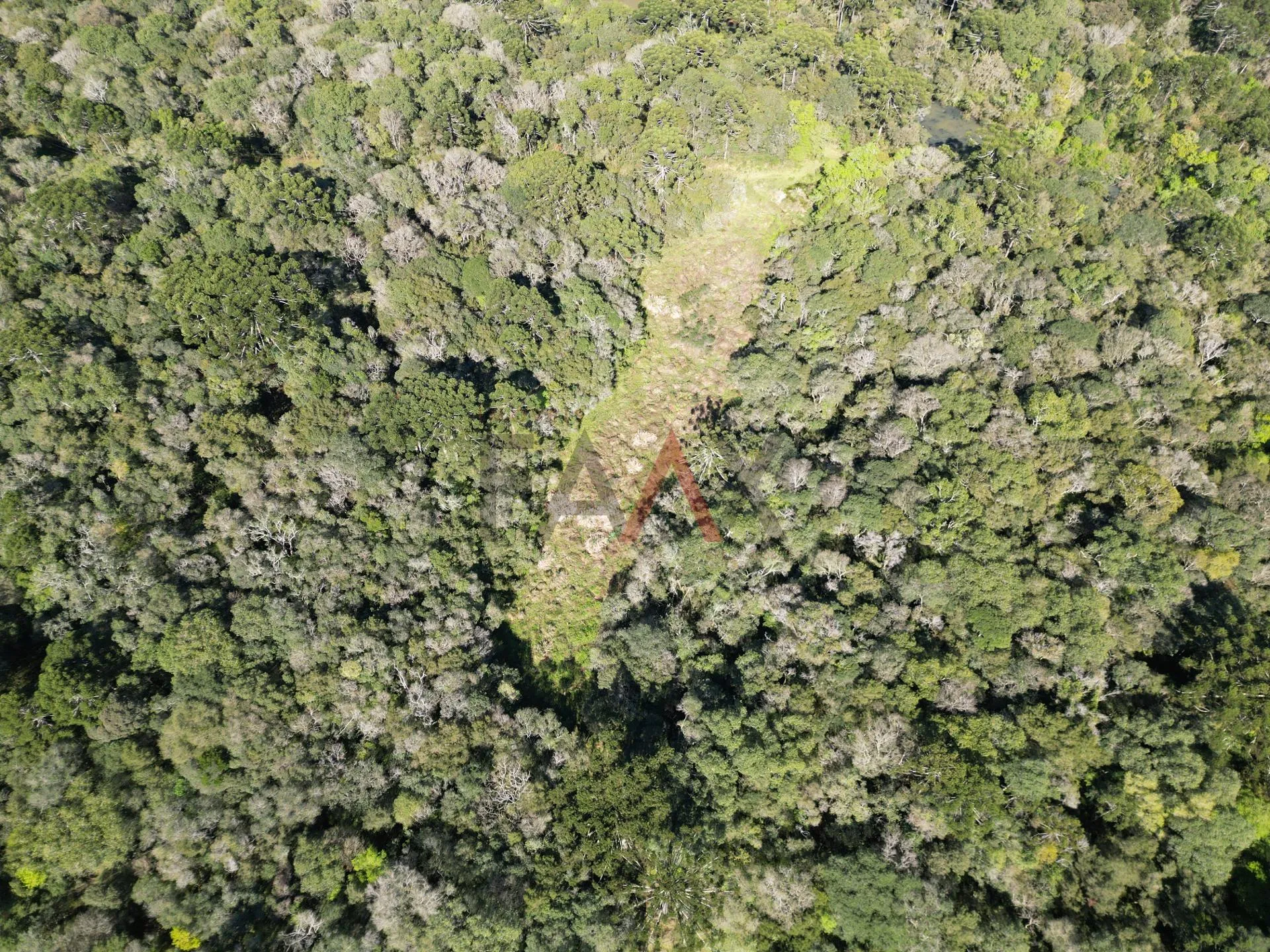 Foto do imóvel Área rural à venda proximo ao hopy valley com rio em Guarapuava - PR