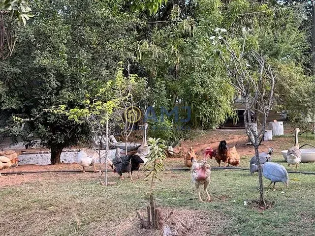 Imagem Área à venda, 21010 m² por R$ 1.450.000,00 - Chácara São Pedro - Aparecida de Goiânia/GO