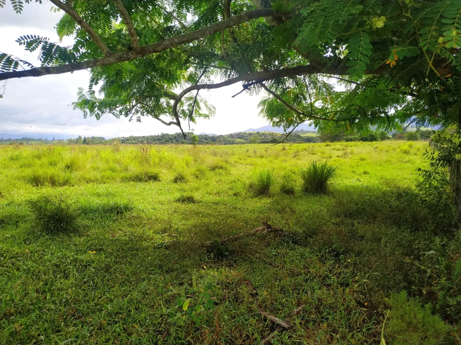 Imagem Chácara à venda 170000M², Bom Sucesso, Pindamonhangaba - SP