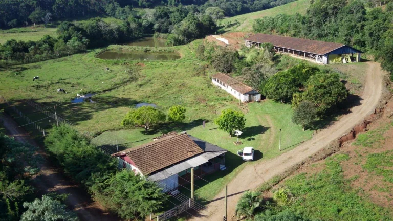 Imagem Área Agrícola para Venda em Concórdia, Interior