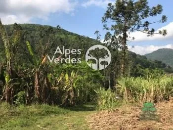 Imagem Terreno à venda, 7000 m2 por R$ 424.000,00 - Zona Rural - Canela/RS