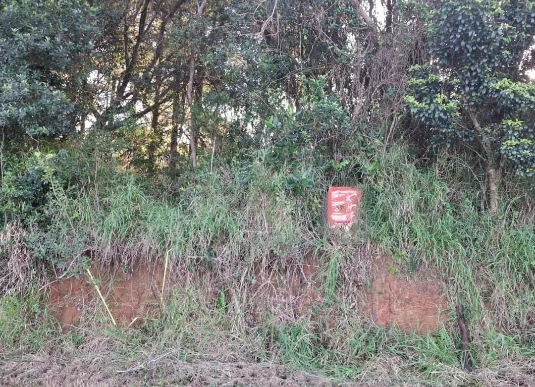 Imagem Area de terras no bairro Lageado