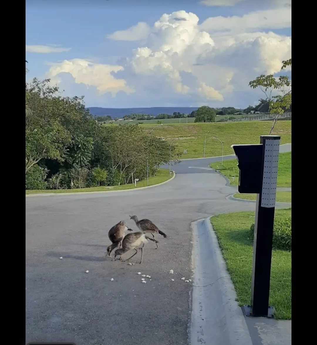 Imagem TERRENO RESIDENCIAL em SOROCABA - SP, PARQUE RESERVA FAZENDA IMPERIAL