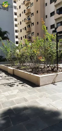 Imagem APARTAMENTO NO LAUZANE A 500Mts DO SHOPPING SANTANA PARK