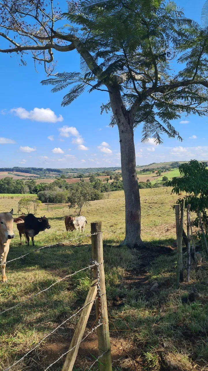 Foto do imóvel: Sítio em Cesário Lange/SP com 4,59 alqueires: topografia excelente e acesso à Castelo Branco.