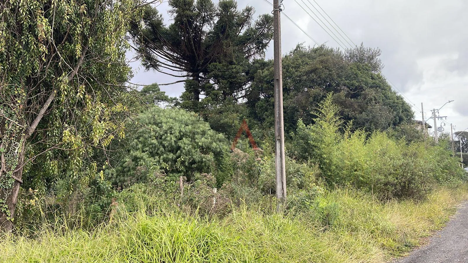 Imagem Terreno ótimo para construção de prédios e grandes empreendimentos.