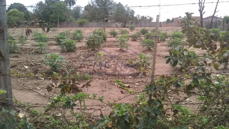 Imagem Terreno Padrão