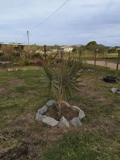 Imagem Casa para Venda em São Pedro da Aldeia / RJ no bairro São Mateus