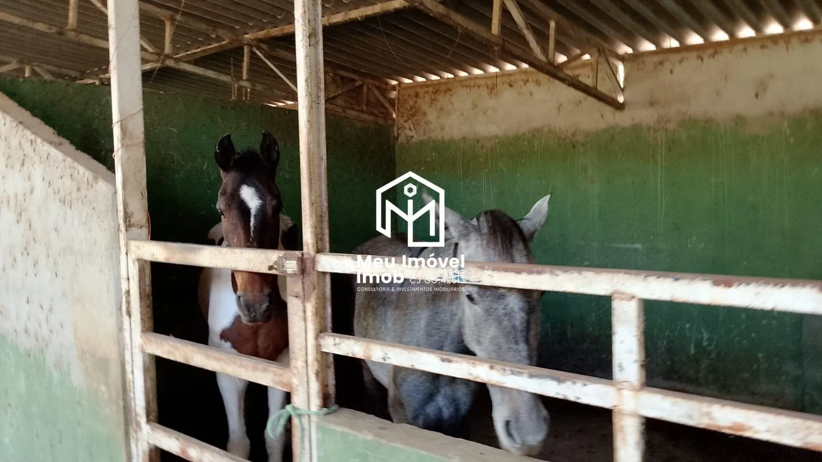 Imagem Chácaras com Curral Corrégo Baias - Luziânia