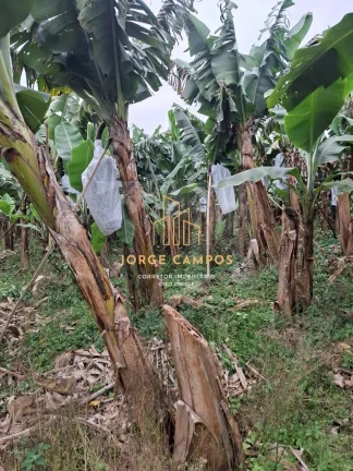 SI-25254 - SÍTIO À VENDA EM SETE BARRAS-SP