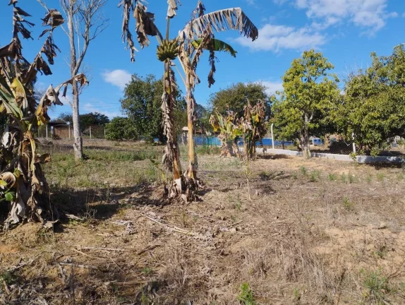 Imagem TERRENO JARDIM CANANÉIA