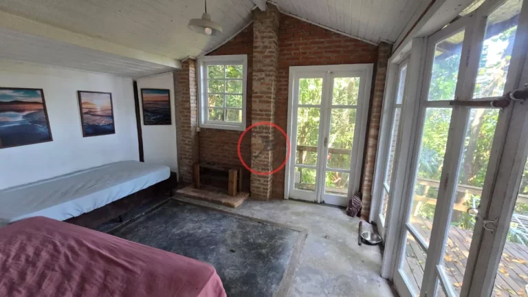 Imagem 2 CASAS VISTA PREVILEGIADA PARA A PRAIA DE CAMBURY E CAMBURIZINHO TERRENO DE 1488M² ACESSO PELA ESTRADA NO MEIO DA MATA ATLANTICA