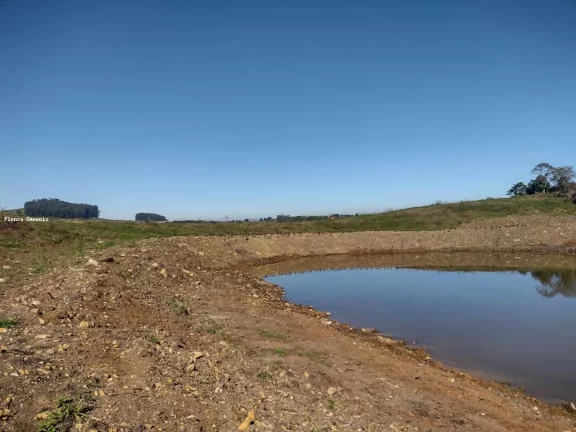 Imagem Granja para Venda em Seara, Interior