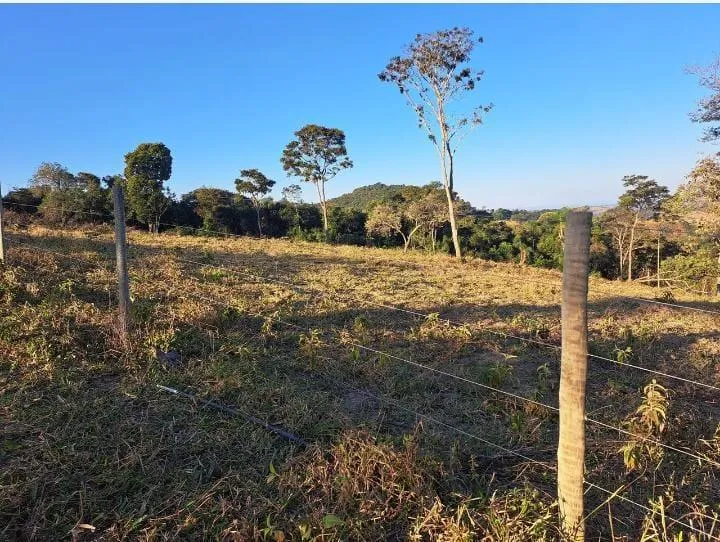 Imagem Vendo uma excelente chácara em Itaguara/crucilandia com 2 hectares (20.000 m²),